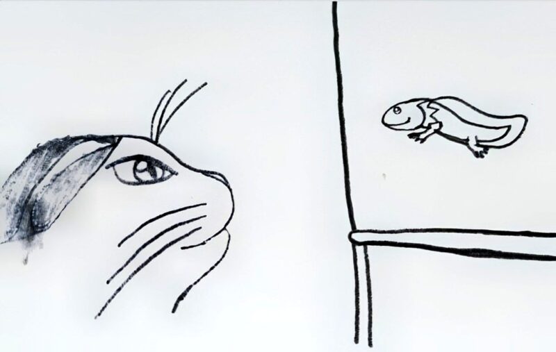 前の記事